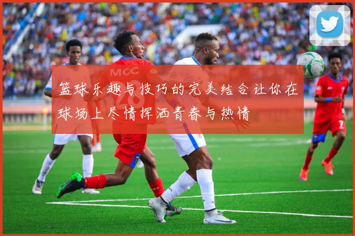 篮球乐趣与技巧的完美结合让你在球场上尽情挥洒青春与热情